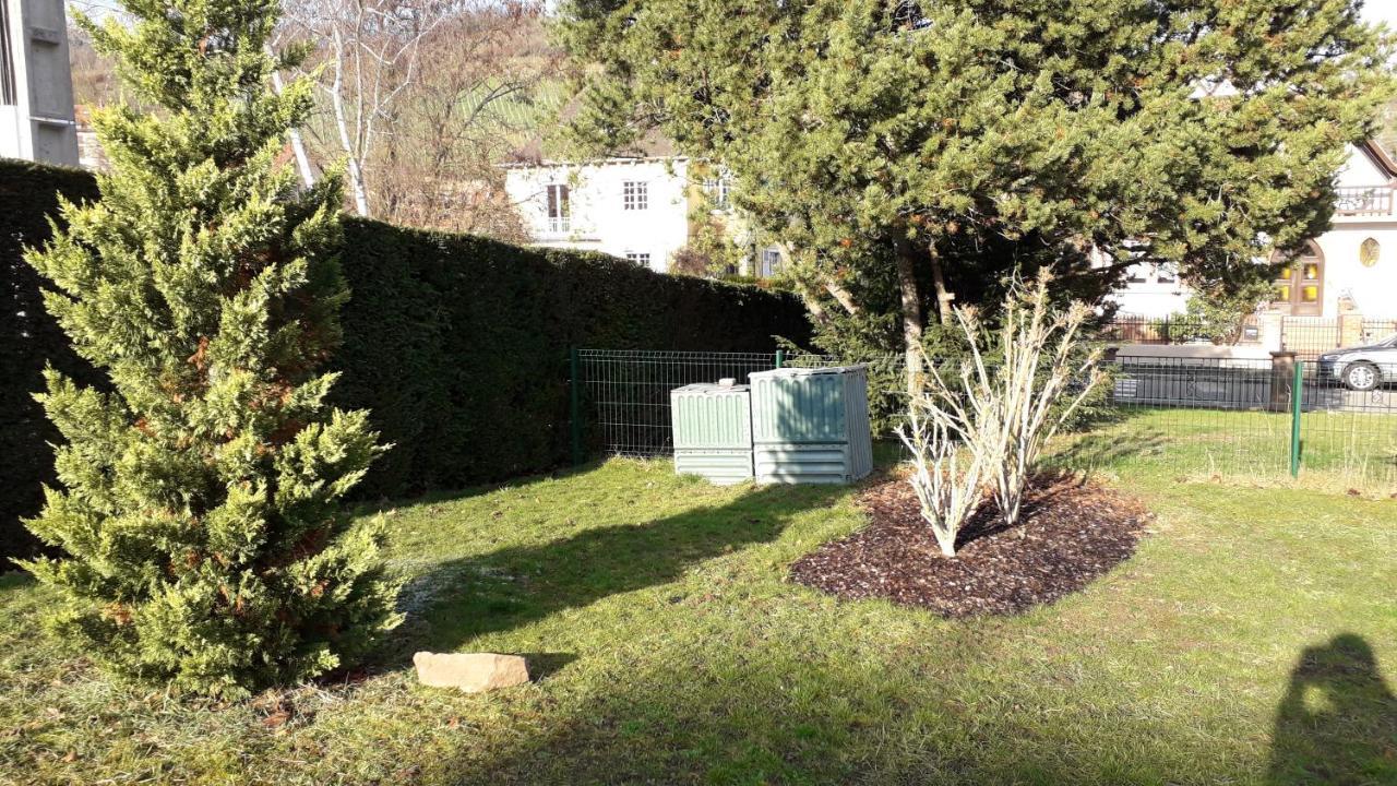 Villa/Appartement Au Coeur Des Vignes *** Barr Exteriér fotografie