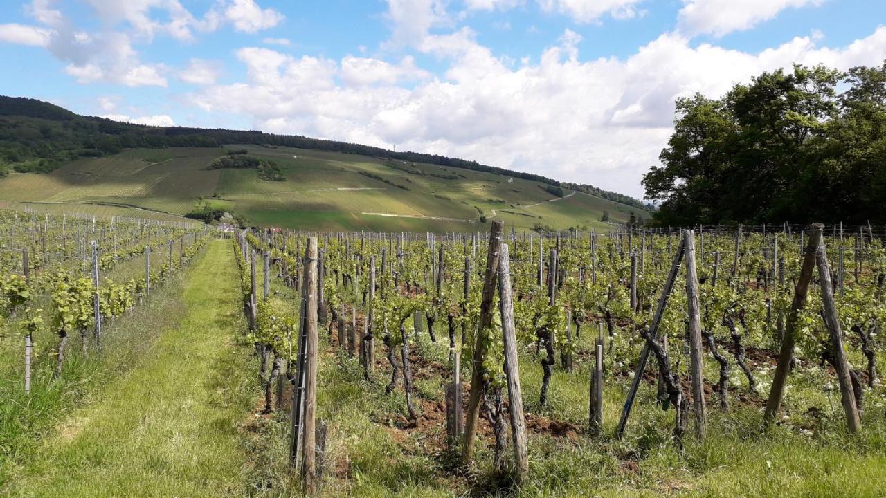 Villa/Appartement Au Coeur Des Vignes *** Barr Exteriér fotografie