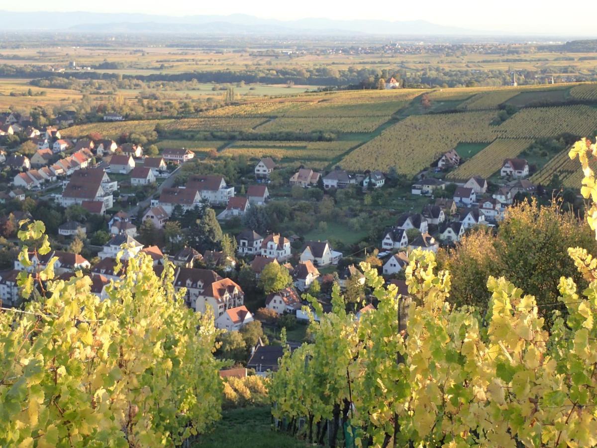 Villa/Appartement Au Coeur Des Vignes *** Barr Exteriér fotografie