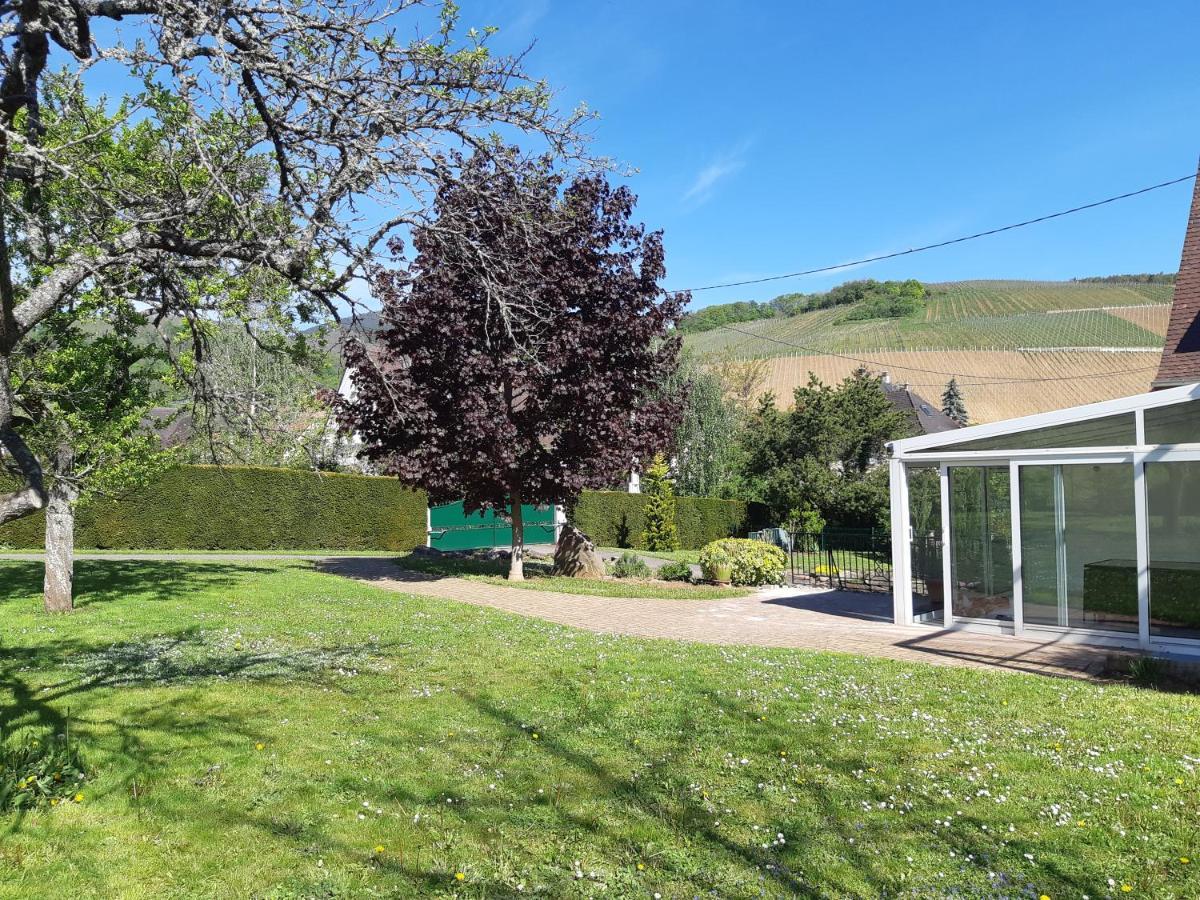 Villa/Appartement Au Coeur Des Vignes *** Barr Exteriér fotografie