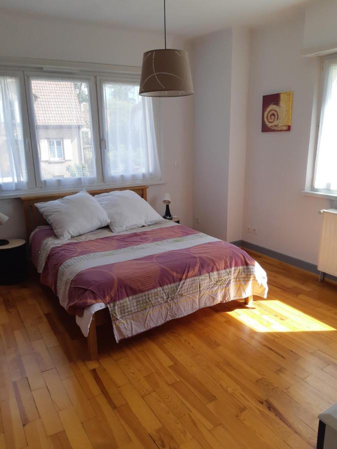 Villa/Appartement Au Coeur Des Vignes *** Barr Exteriér fotografie